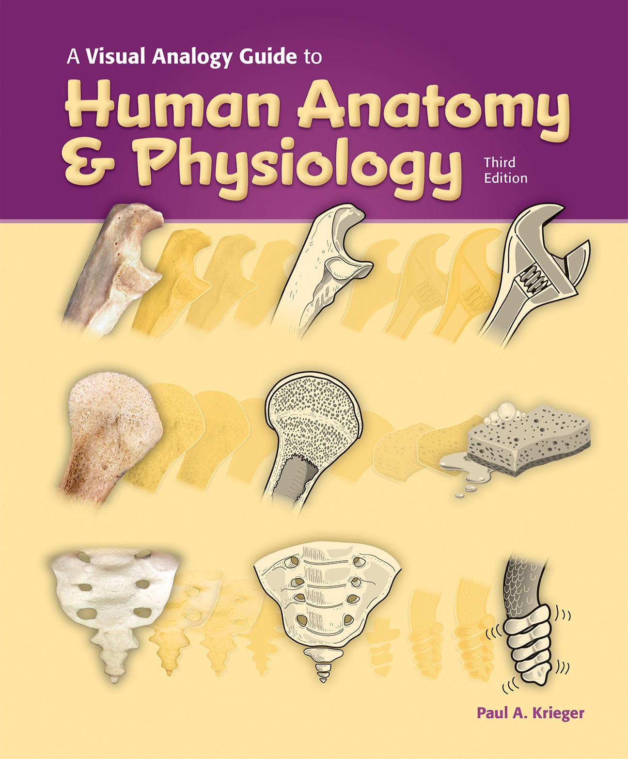 A Visual Analogy Guide to Human Anatomy & Physiology eBook