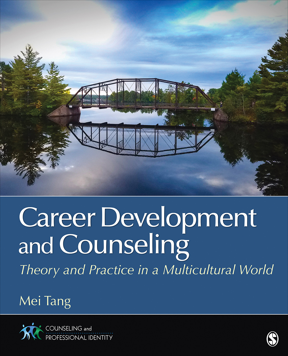 Career Development and Counseling: Theory and Practice in a Multicultural World eBook