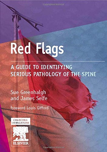 E-Book ? Red Flags Ebook
