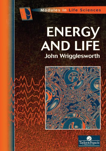 Energy And Life Ebook