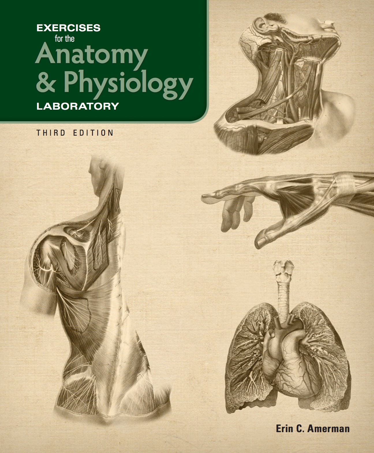 Exercises for the Anatomy & Physiology Laboratory eBook