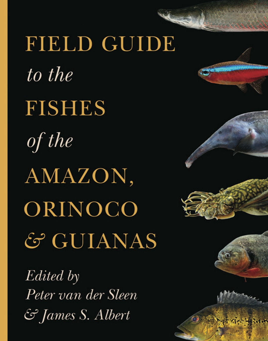 Field Guide to the Fishes of the Amazon, Orinoco, and Guianas eBook