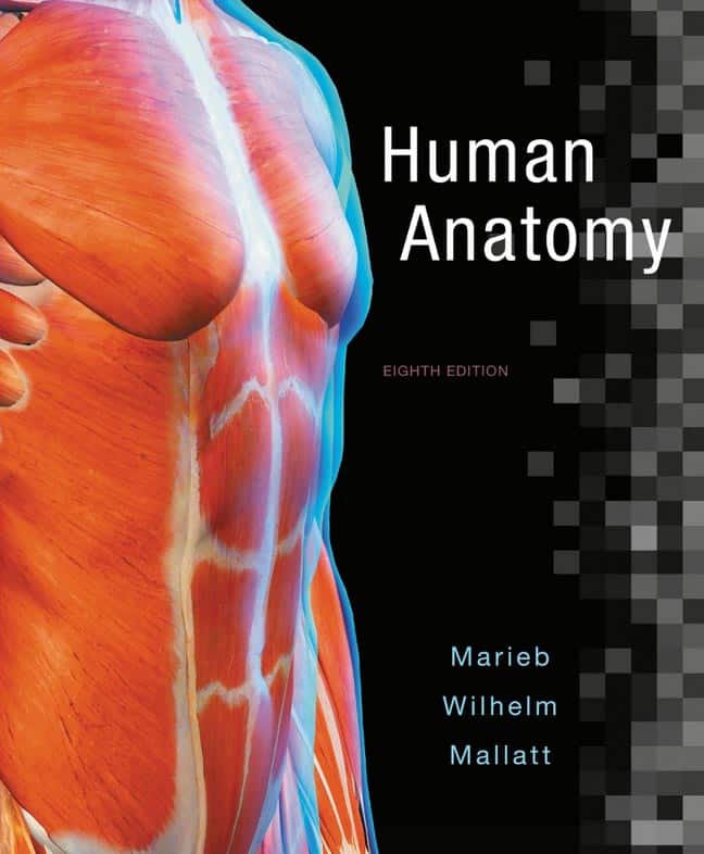 Human Anatomy, 8th edition by Marieb, Wilhelm and Mallatt ? eBook