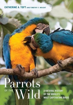 Parrots of the Wild: A Natural History of the World?s Most Captivating Birds Ebook