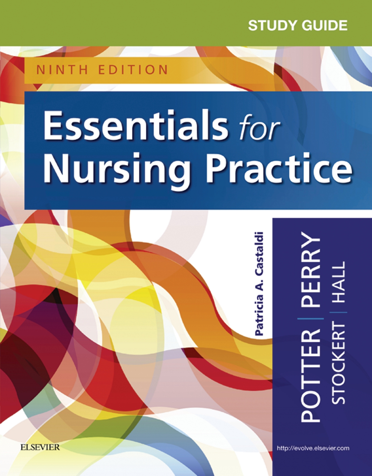 Study Guide for Essentials for Nursing Practice - E-Book eBook