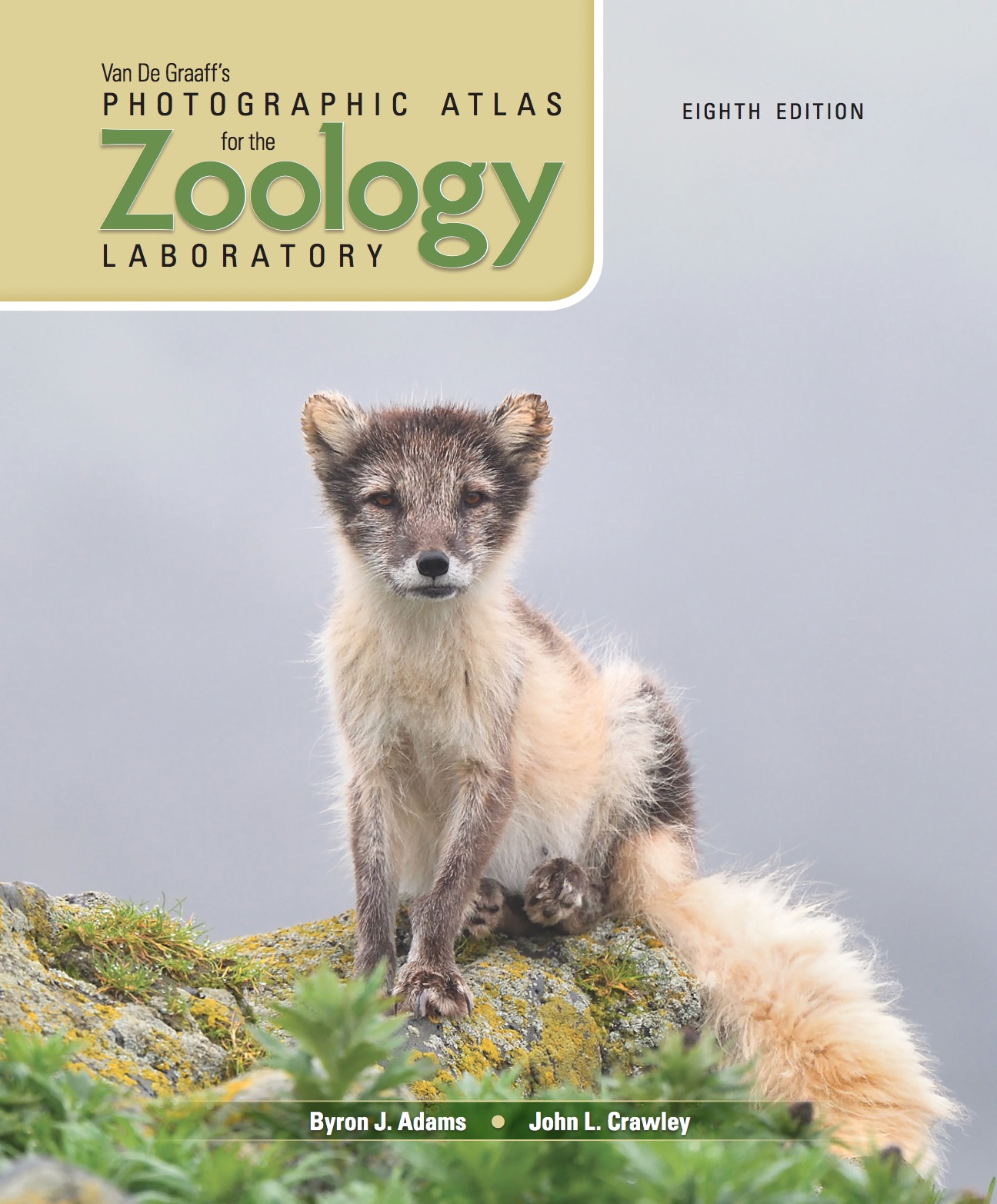 VanDeGraaff's Photographic Atlas for the Zoology Laboratory eBook