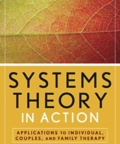 Systems Theory in Action: Applications to Individual, Couple, and Family Therapy, 1st Edition